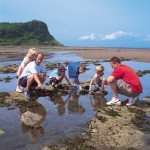 Familie op het strand